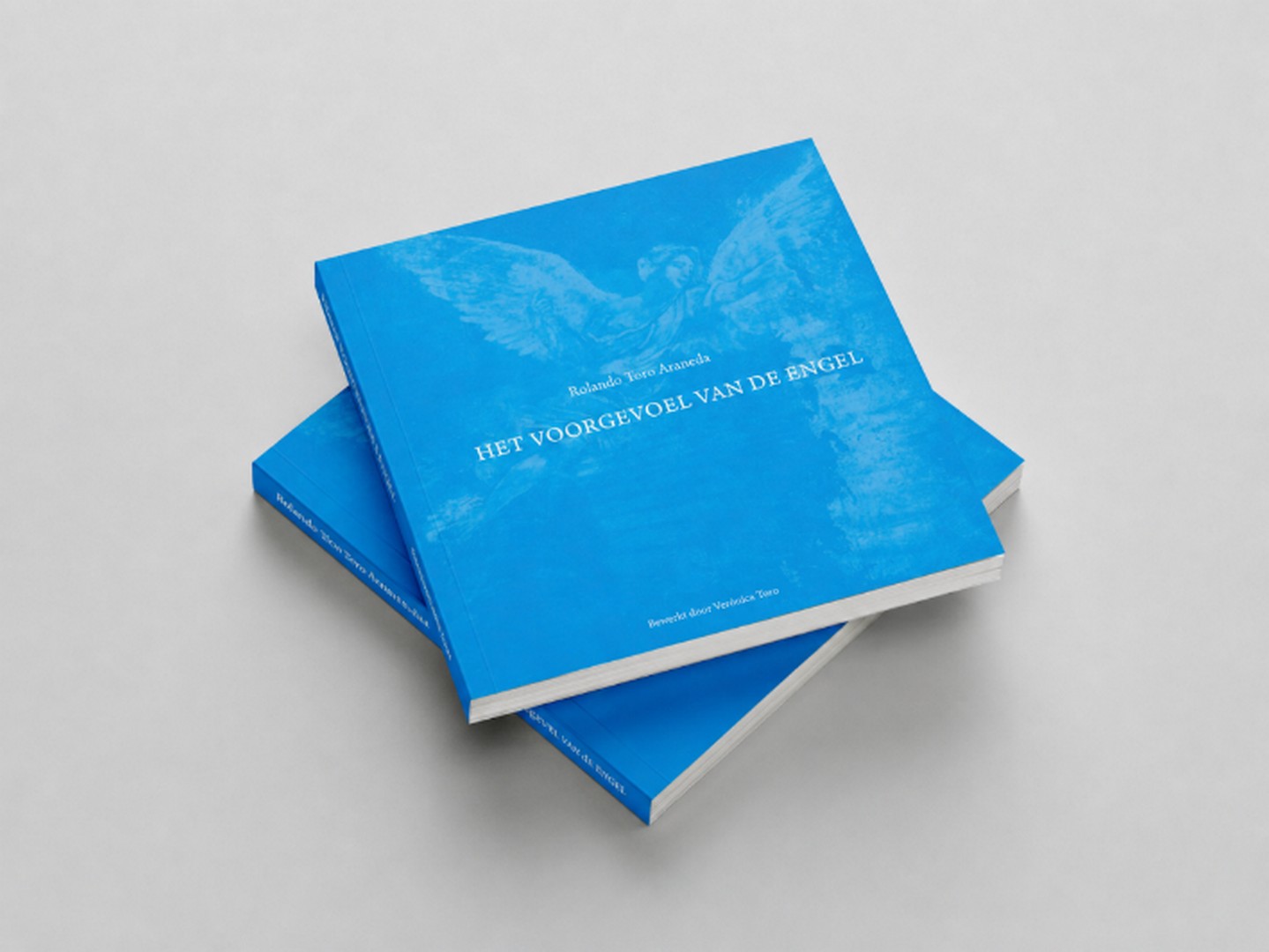 Boek Het voorgevoel van de engel