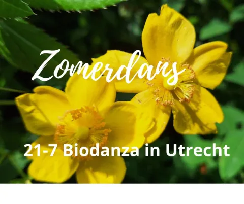 Zomeravond biodanza workshop