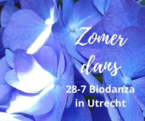 Zomeravond biodanza workshop