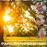 Uitnodiging 11 juli zomerdans in het park Nijmegen