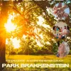 Uitnodiging 11 juli zomerdans in het park Nijmegen