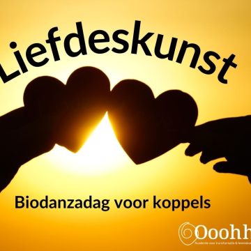 Liefdeskunst – biodanzadag voor koppels