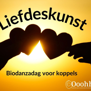 Liefdeskunst – biodanzadag voor koppels